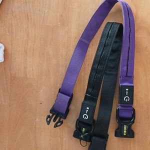 Light up dog collars